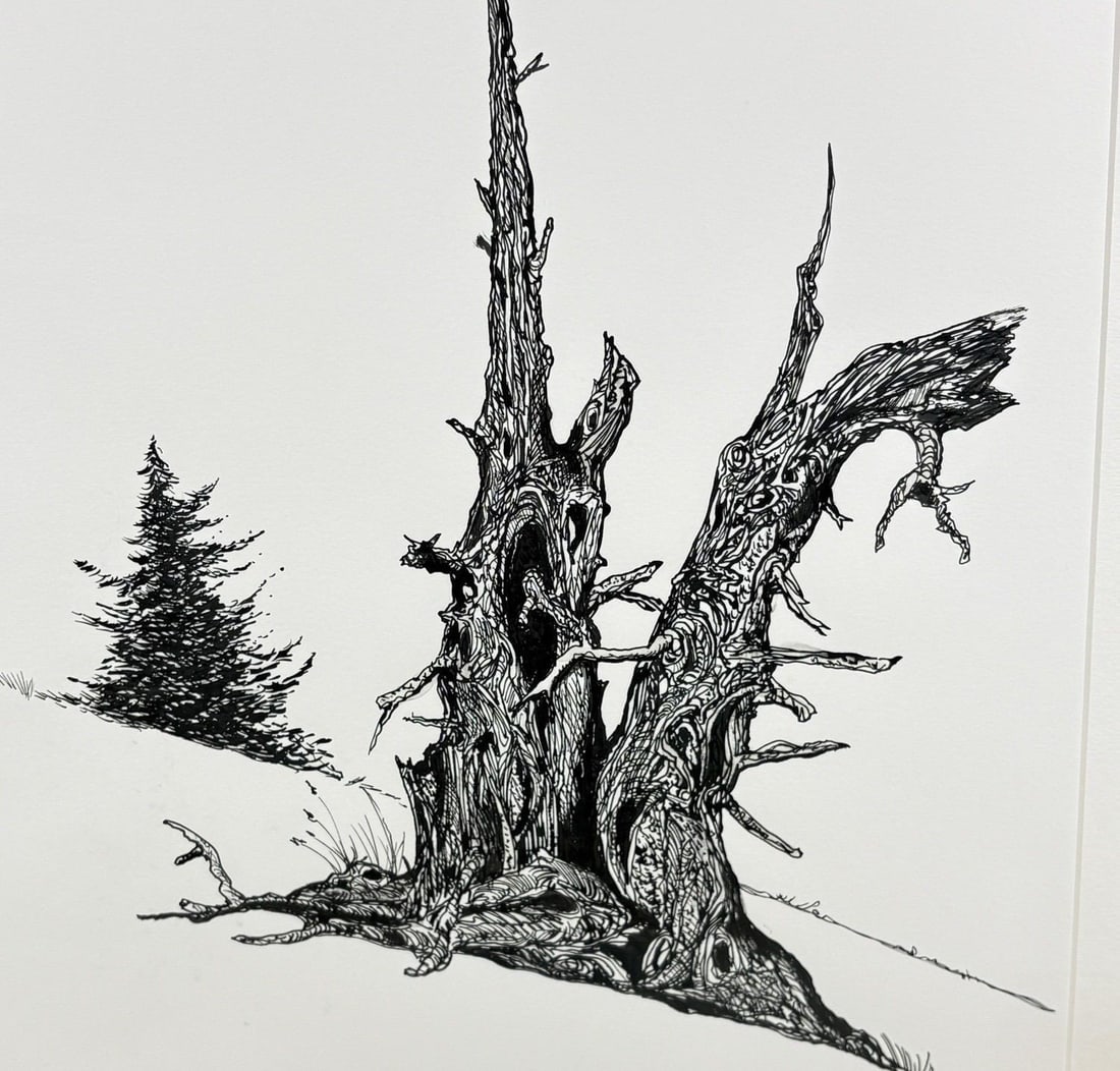 1980s Steve LeBailly Signed Pen & Ink Drawing "Burma Road Juniper" Mackay, Idaho - 5