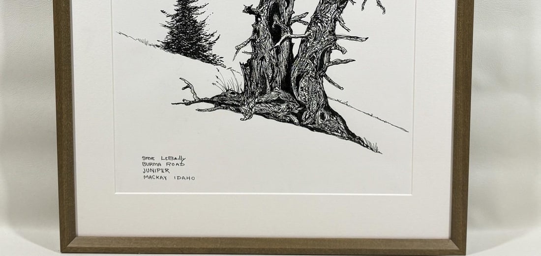 1980s Steve LeBailly Signed Pen & Ink Drawing "Burma Road Juniper" Mackay, Idaho - 7