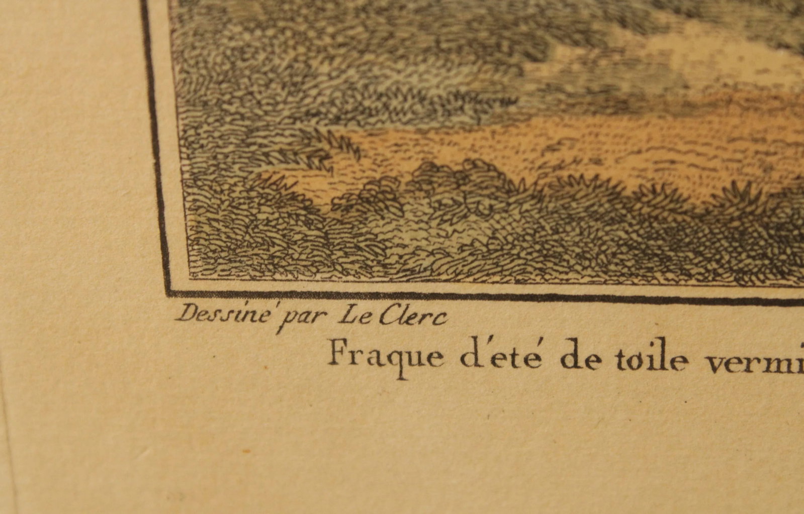 Antique French Fashion Galerie Des Modes Engraving - 10