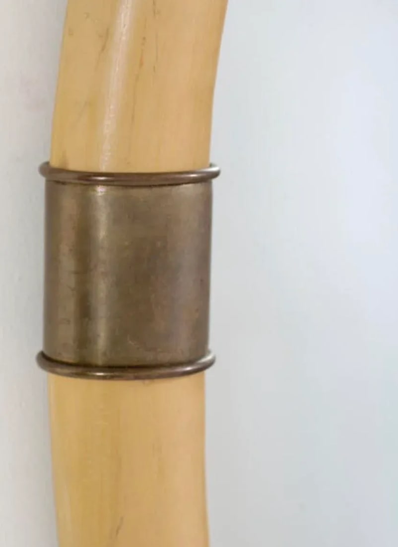 Faux Tusk and Brass Mirror by Chapman - 3