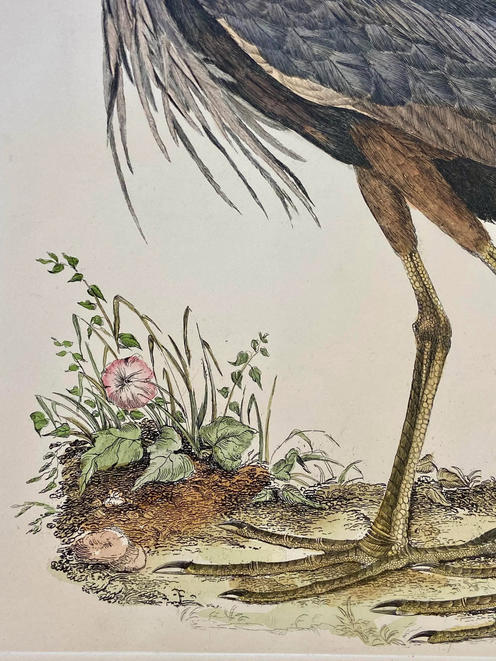1990s Purple Heron After Selby, Large Cottage Print - 5