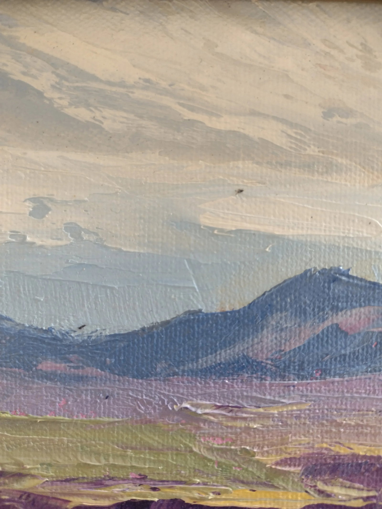 Original Oil Painting "Rio Grande Gorge Morning" by Anita Blythe 11" X 14" Plein Air Landscape - 4