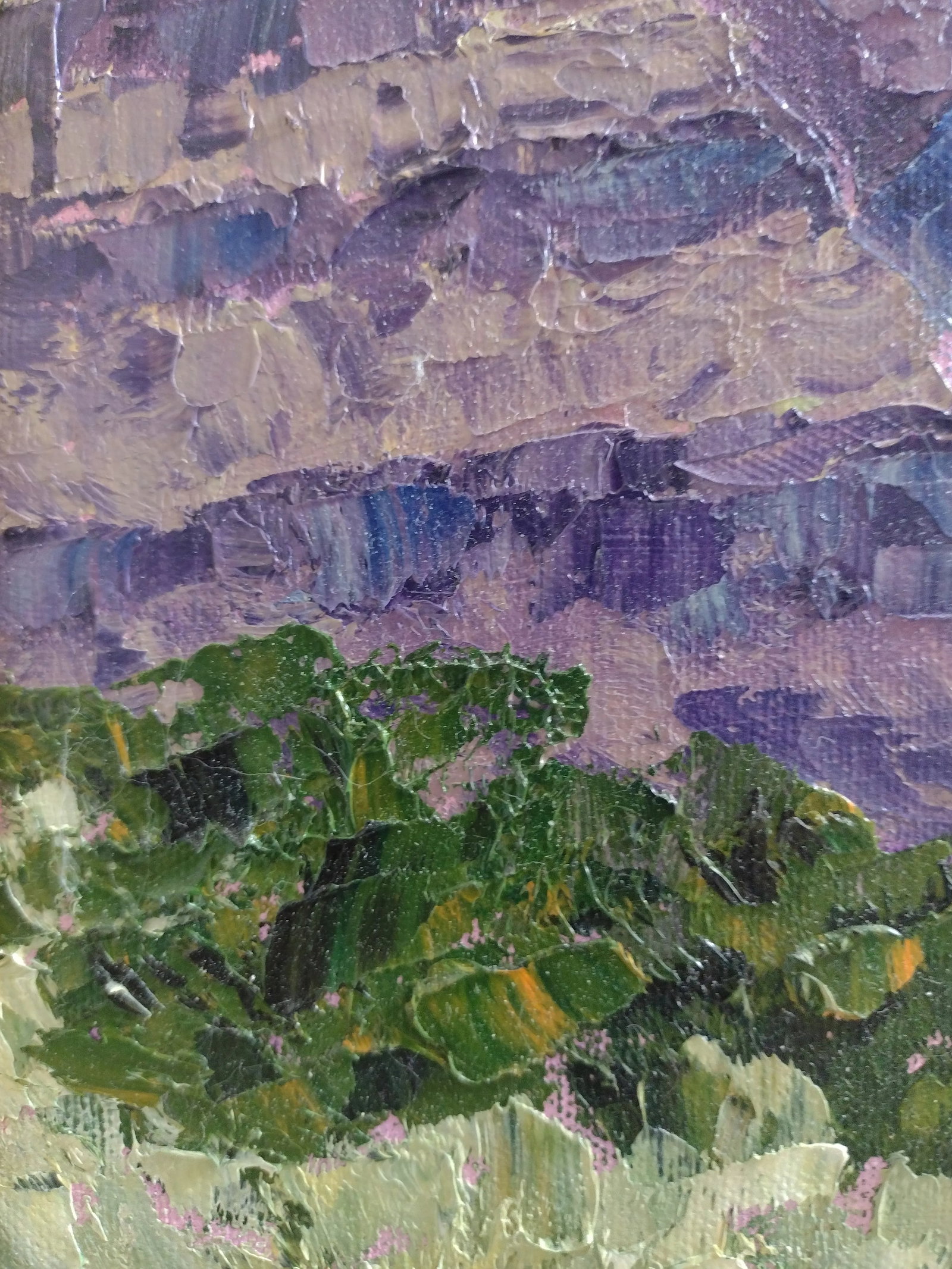 Original Oil Painting "Rio Grande Gorge Morning" by Anita Blythe 11" X 14" Plein Air Landscape - 8