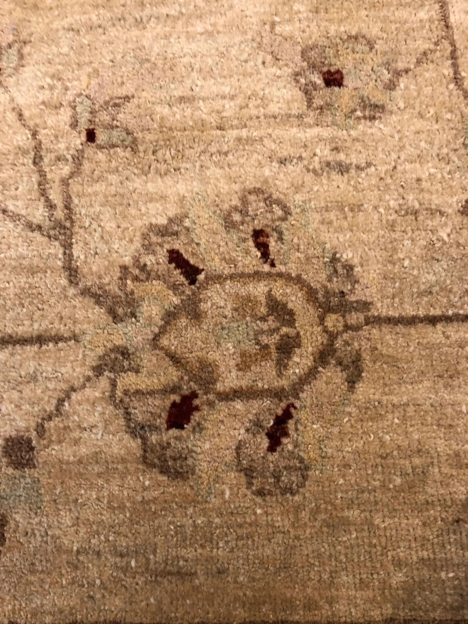 Muted Oushak Area Rug - 4