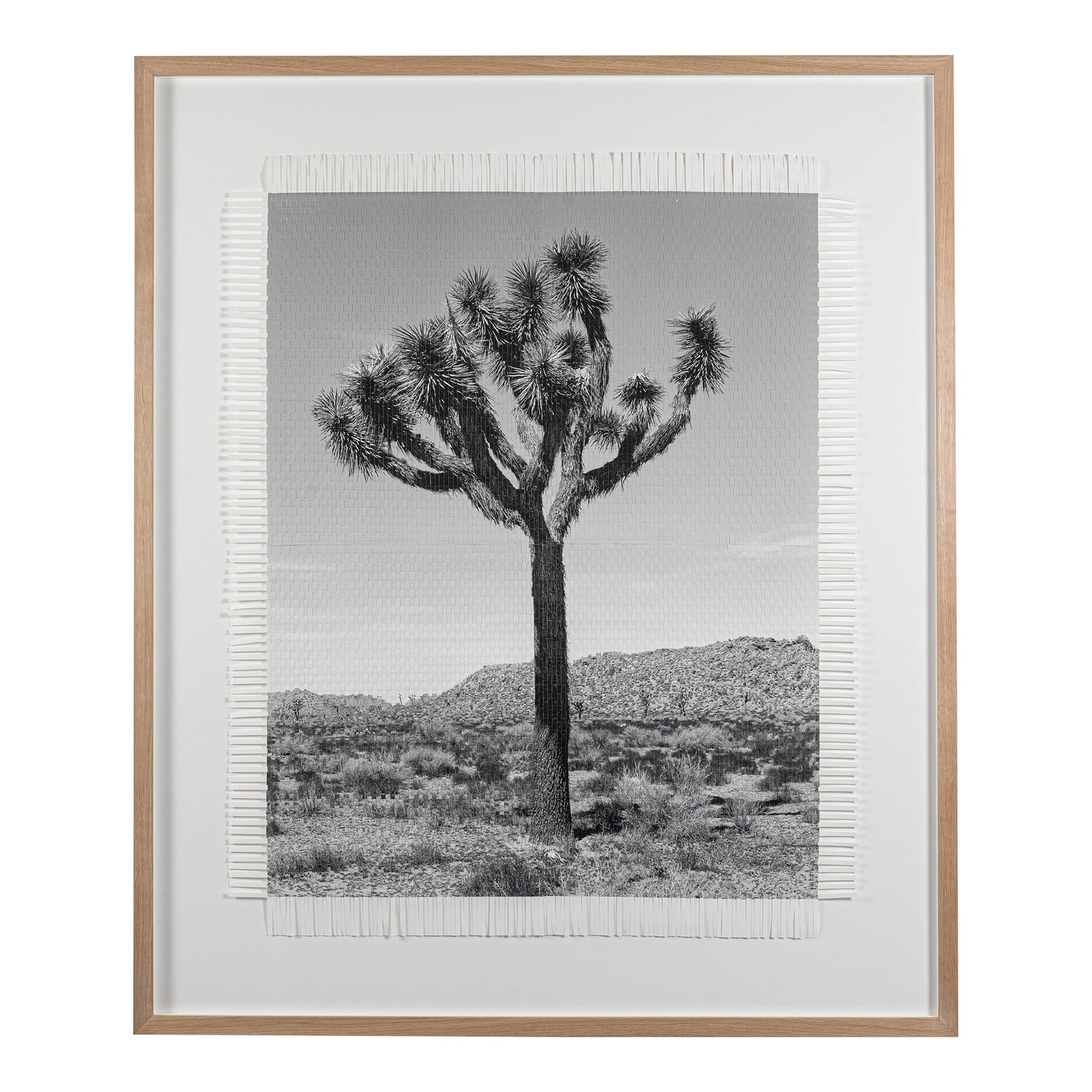 Hand Woven Photograph by Marcelo Bengoechea, Photo by Fernando Bengoechea, "Karma Tree #3": Handwoven photograph made from two identical giclee prints of photography by Fernando Bengoechea (1965-2004). Framed in white oak. This piece is a new interpretation of Fernando's original Karma Tree