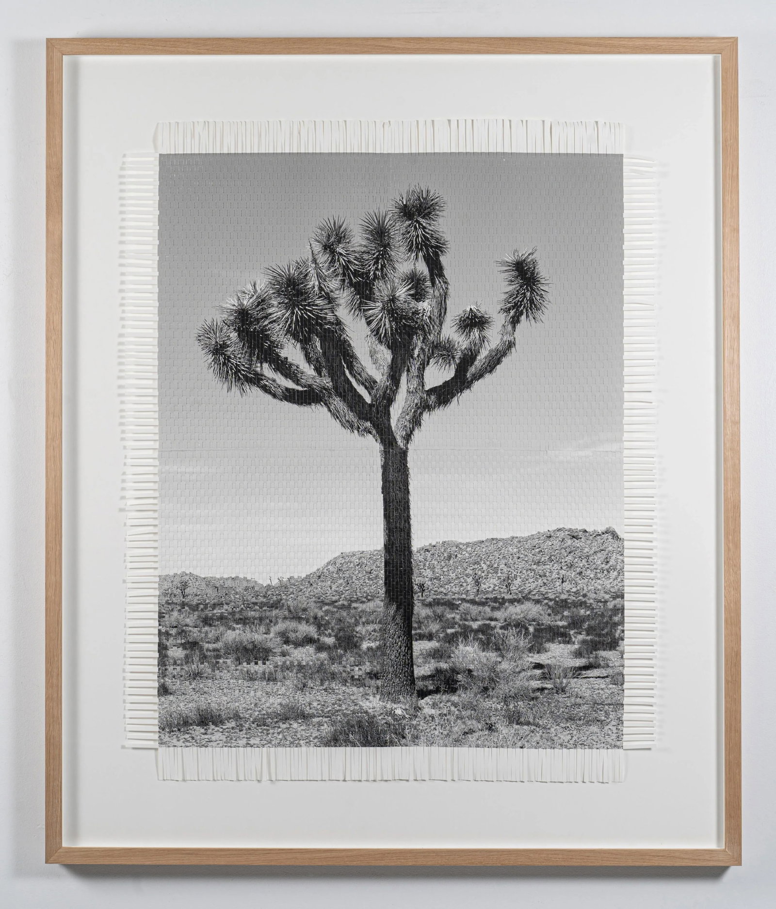 Hand Woven Photograph by Marcelo Bengoechea, Photo by Fernando Bengoechea, "Karma Tree #3" - 2