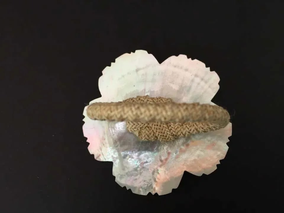 Handcrafted Napkin Rings in Natural Capiz Pearl Shell - Set of 6 - 9