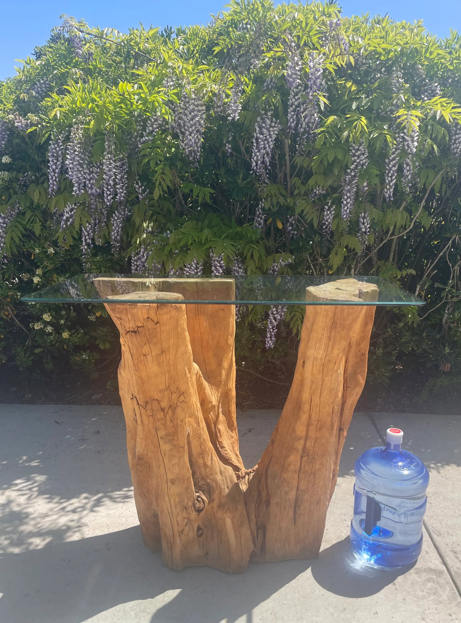 Biophilic Tree Trunk Console or Bar Height Table - 2