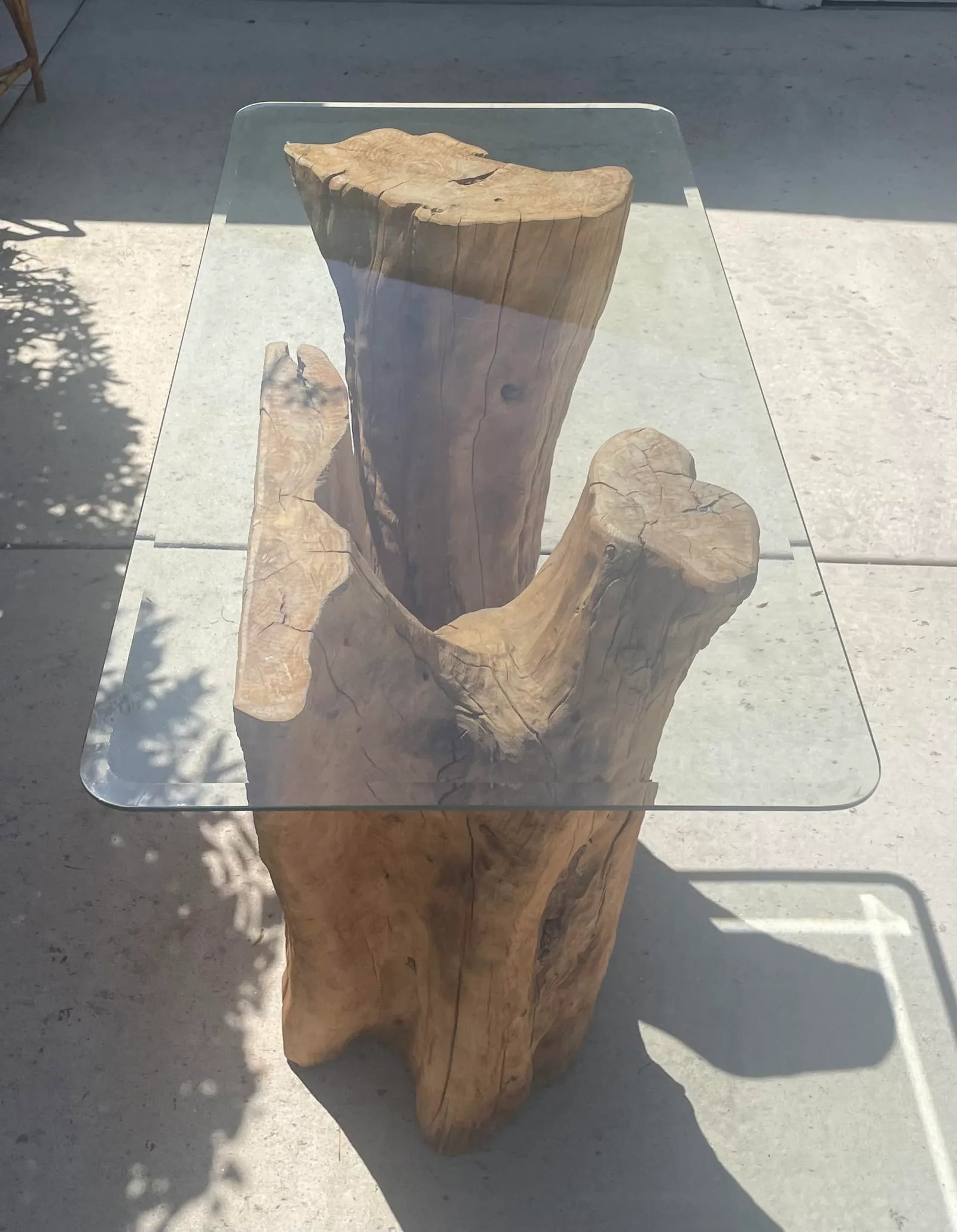 Biophilic Tree Trunk Console or Bar Height Table - 7