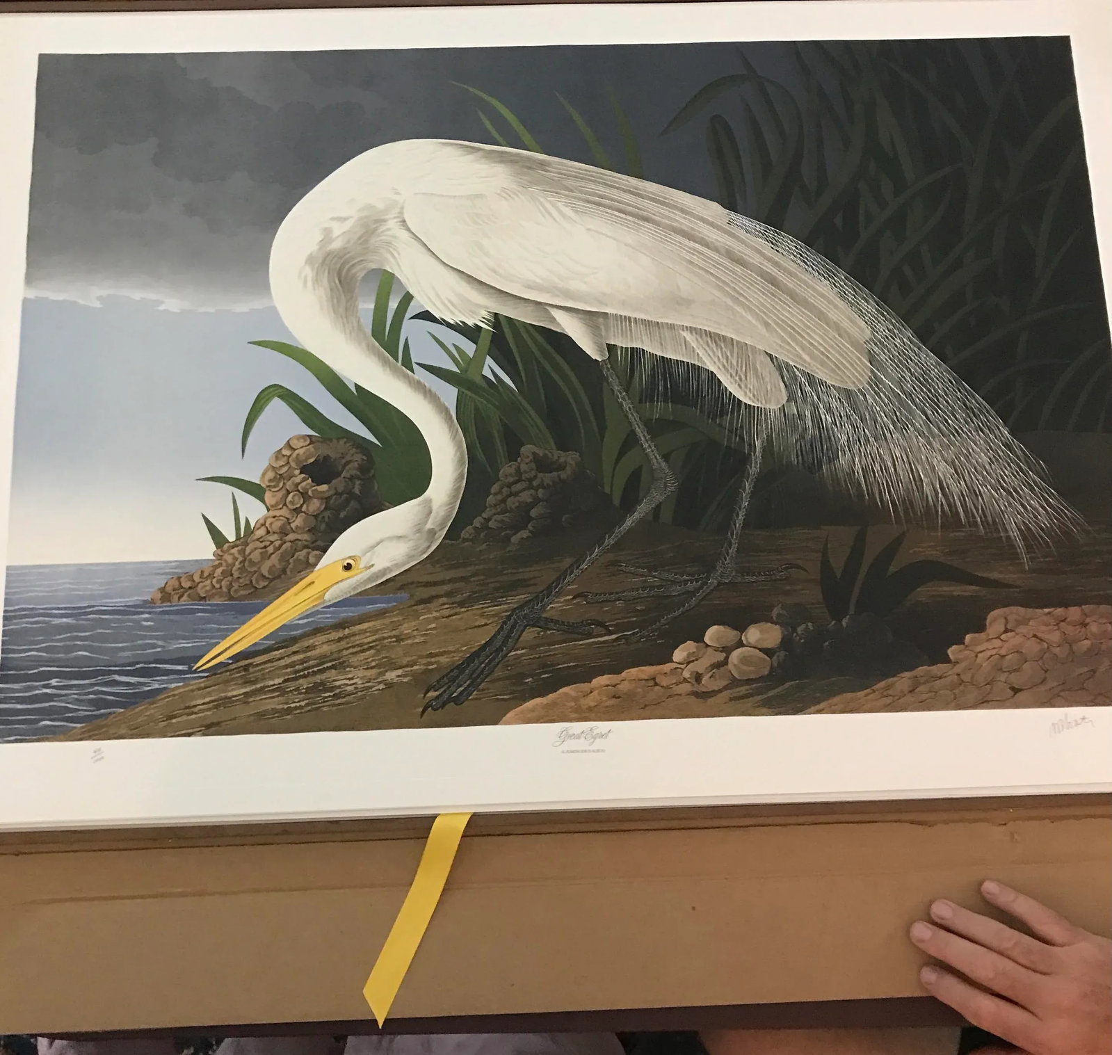 John James Audubon's 'Birds of America'- M. Bernard Loates Edition (Set of Prints) - 3