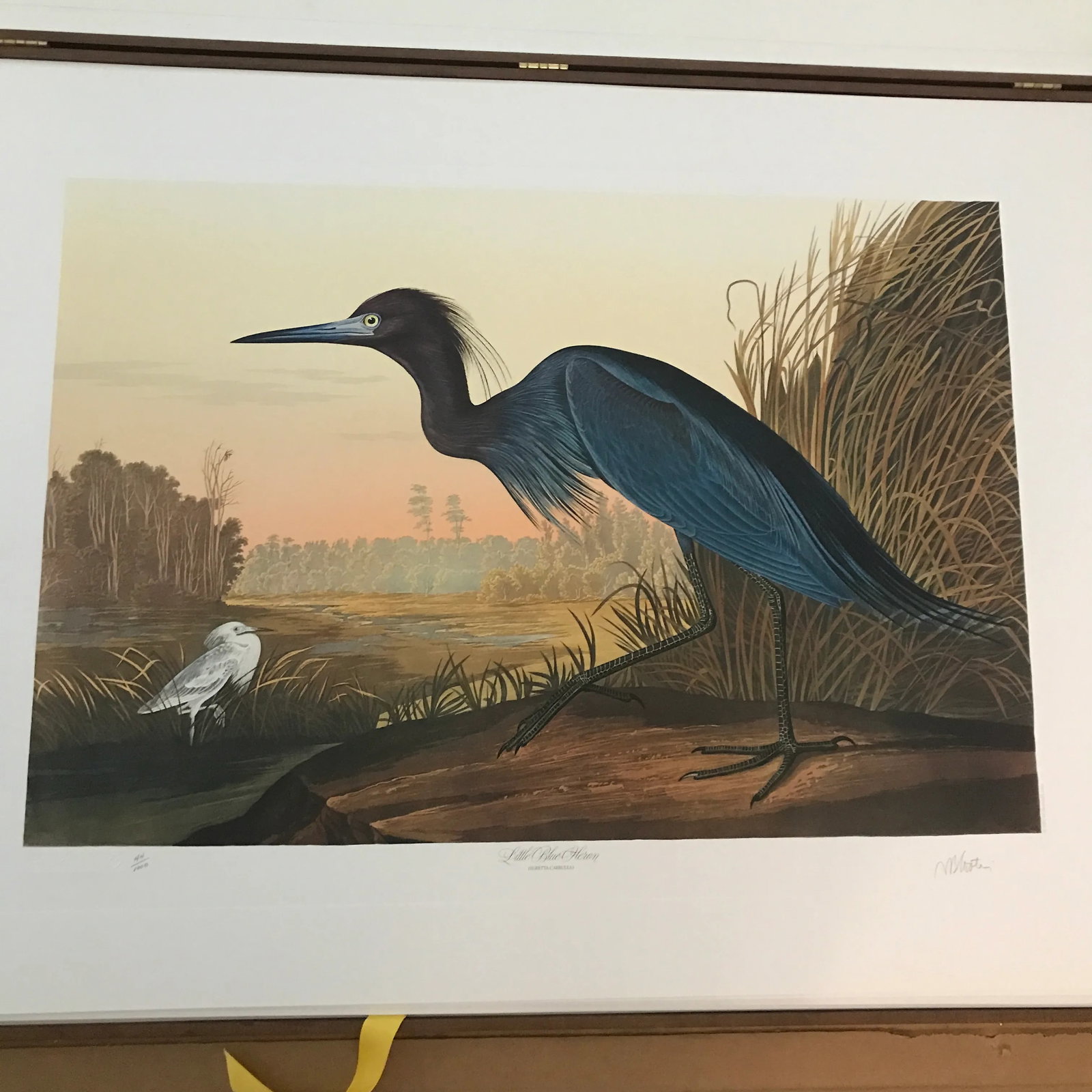 John James Audubon's 'Birds of America'- M. Bernard Loates Edition (Set of Prints) - 4
