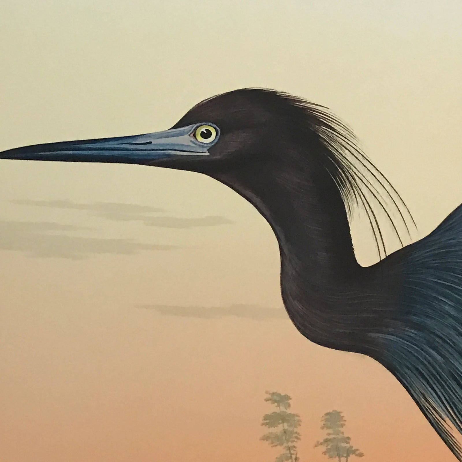 John James Audubon's 'Birds of America'- M. Bernard Loates Edition (Set of Prints) - 5
