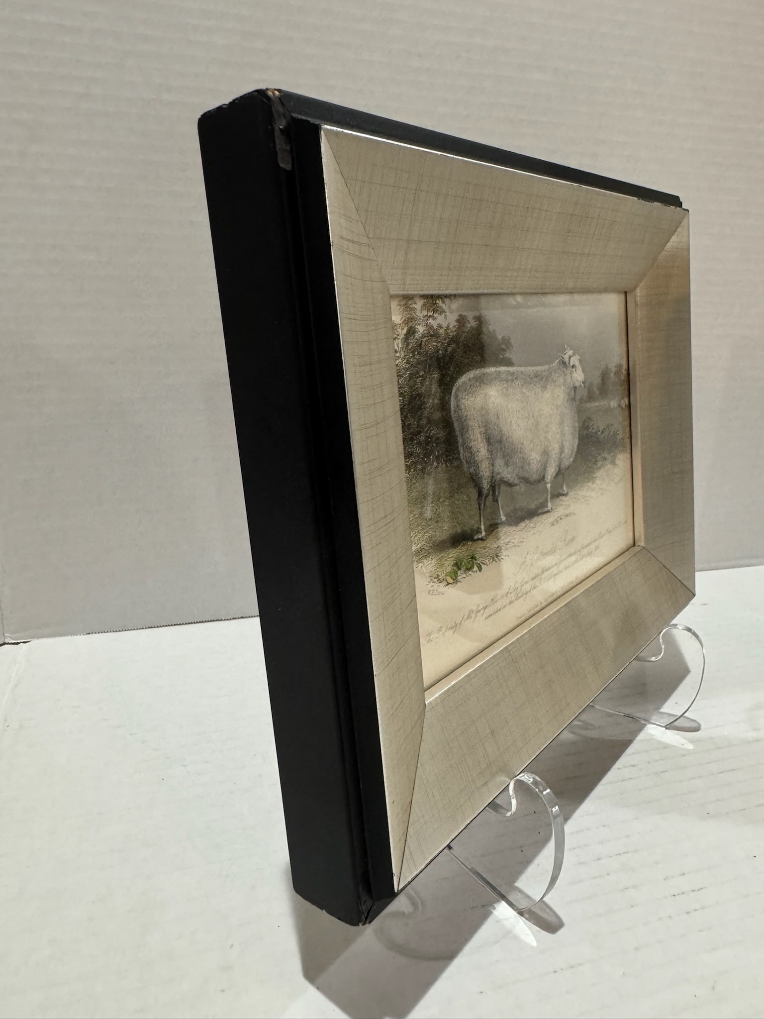 Mid 20th Century Framed Sheep Engravings Bakewell Ram Oxfordshire Downs - Set of 2 - 6