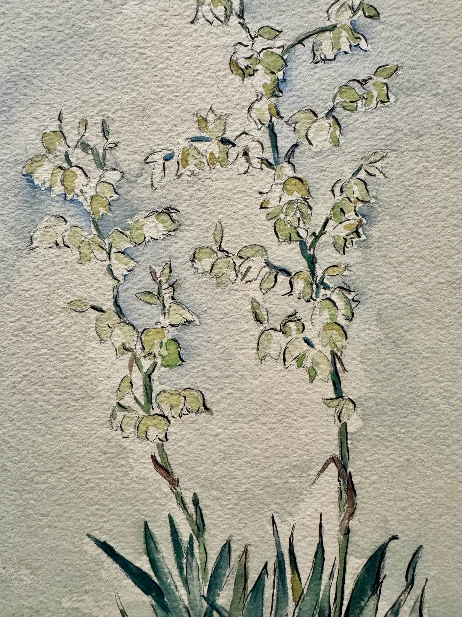 Henry Emil Salloch Original Watercolor on Paper Desert Landscape With Flowering Yucca Plant, 1939. - 3