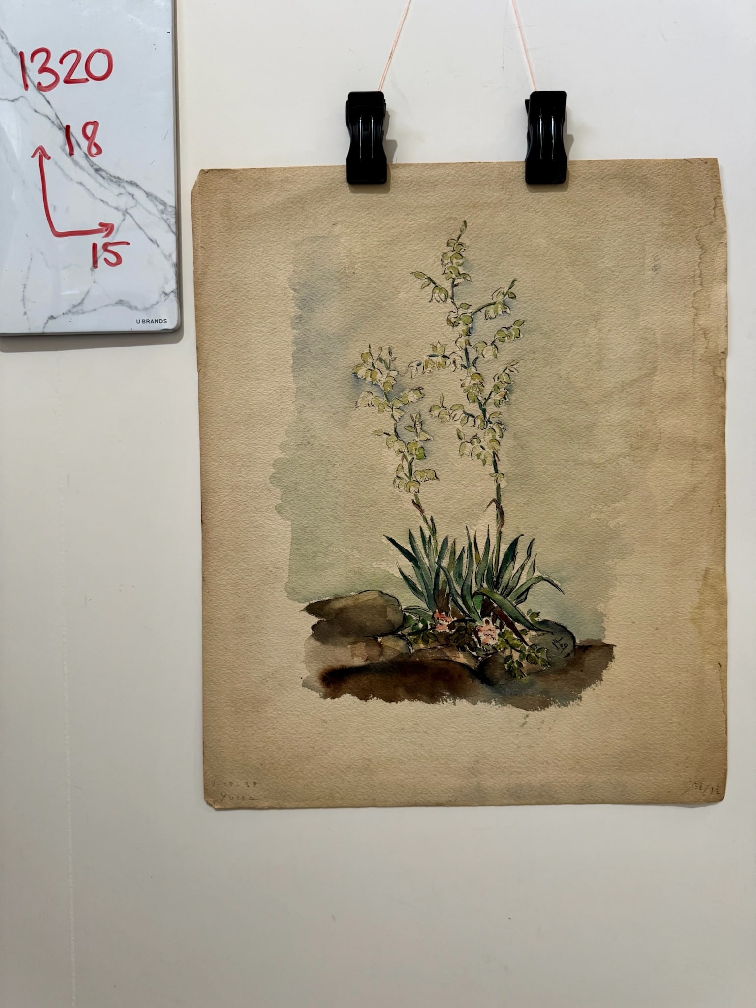 Henry Emil Salloch Original Watercolor on Paper Desert Landscape With Flowering Yucca Plant, 1939. - 8