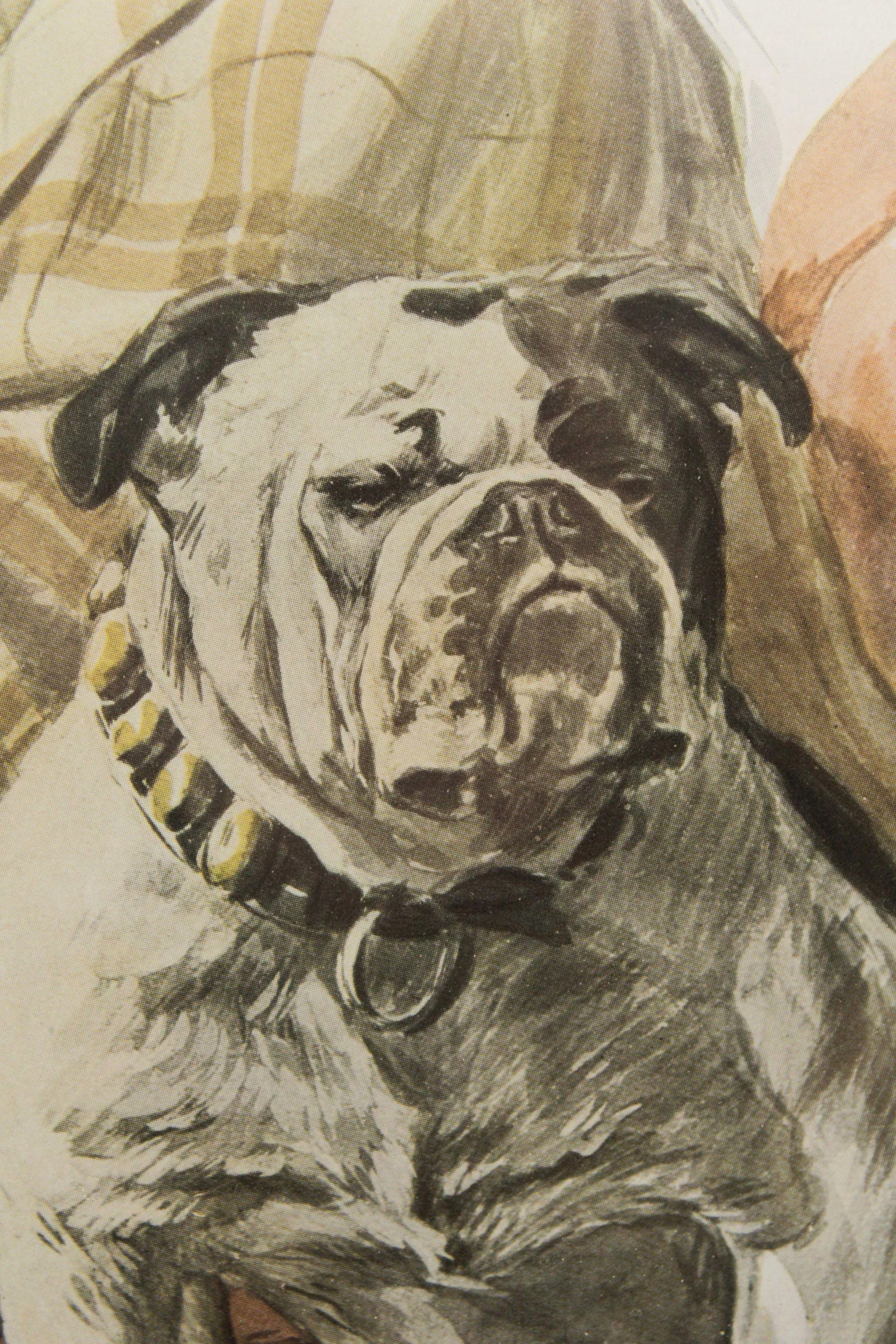 Harrison Fisher 'A Lucky Dog' Illustration Art Print - 6
