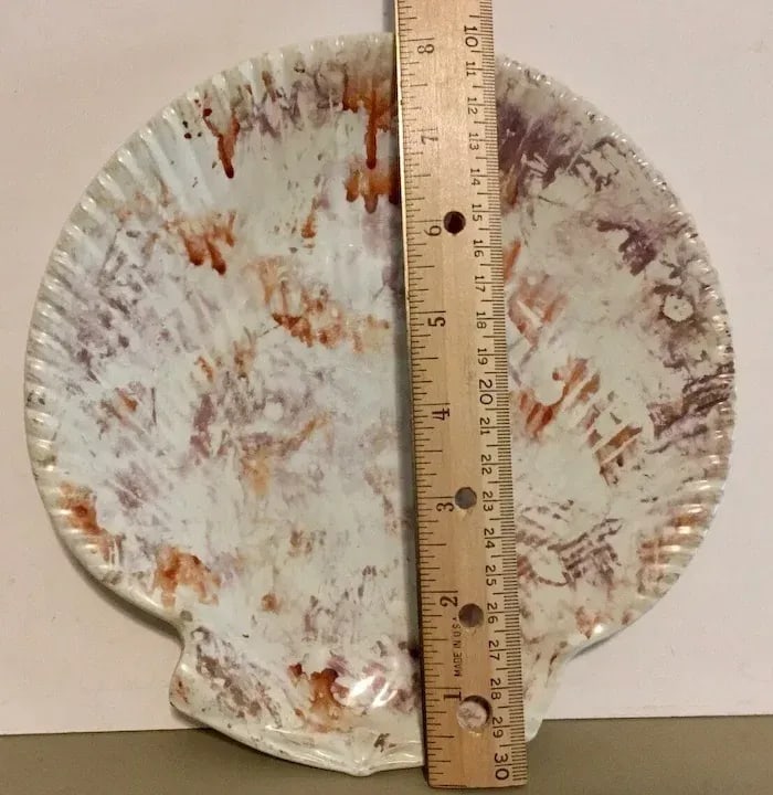 Antique 19th Century Wedgwood Conchology Pink Moonlight Luster Pearlware Scallop Sea Shell Plate - 4