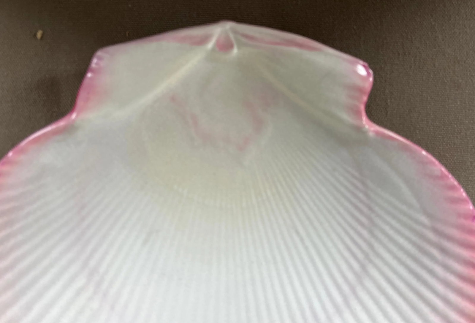 Antique 19th Century Wedgwood Pink Nautilus Pearlware Scallop Shell Dessert Dish or Plate - 2