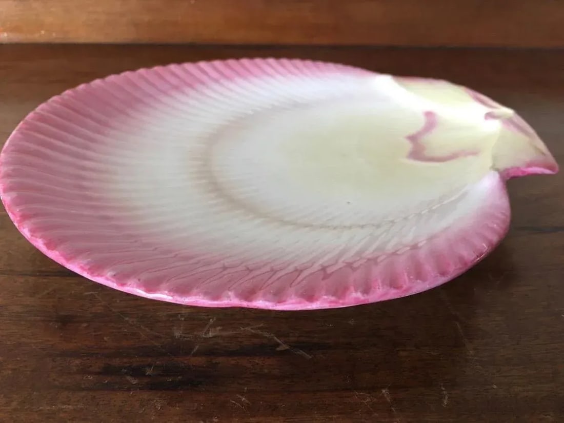 Antique 19th Century Wedgwood Pink Nautilus Pearlware Scallop Shell Dessert Dish - 9