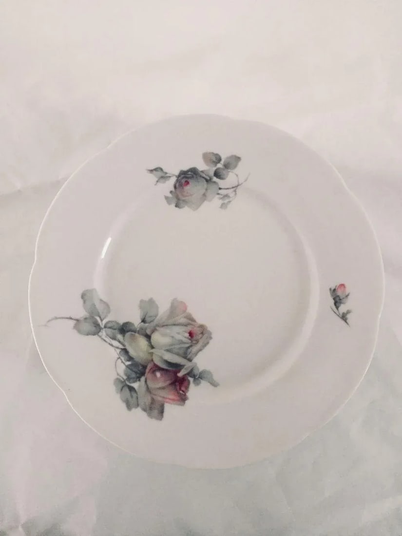 Vintage Cottage Style Gray Rose Pattern Dinner Plates - Set of 10 - 5