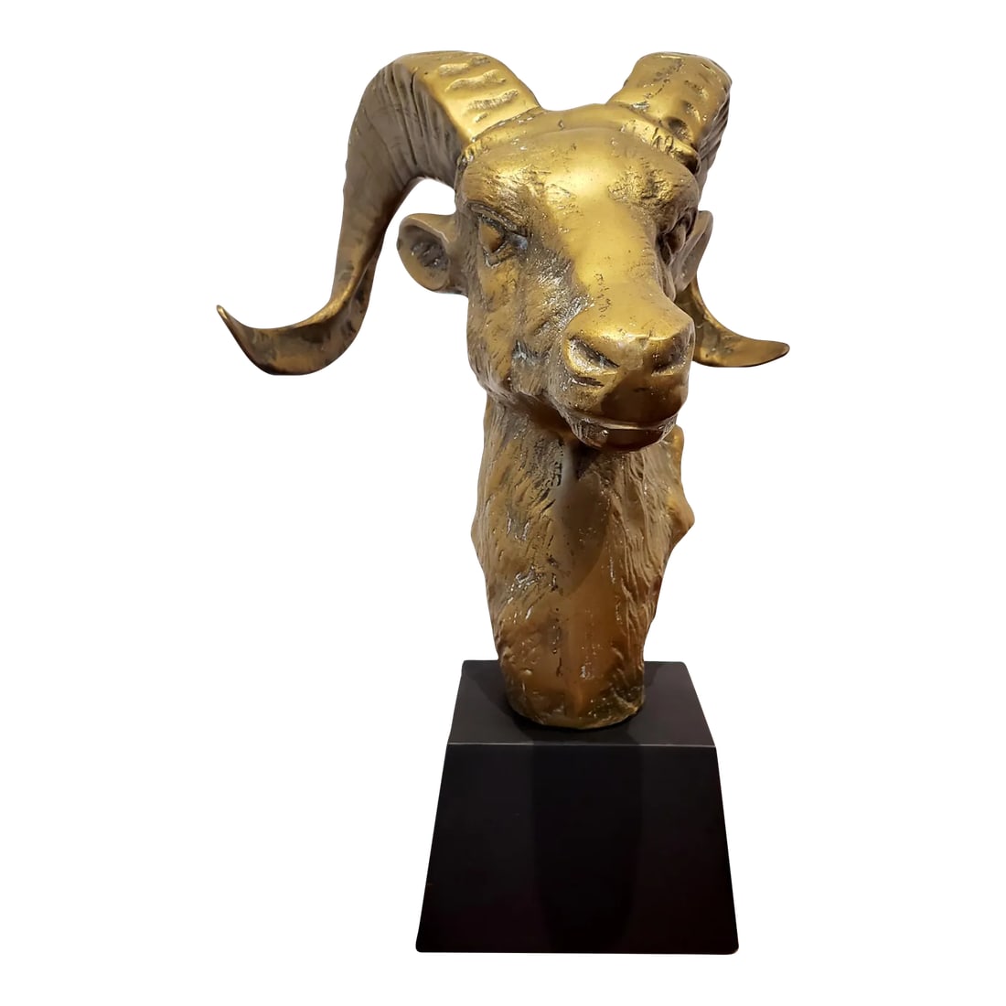 Large Mid Century Brass Rams Head Desk Sculpture: Large, detailed rams head on wood pedestal. Measures 15" high and 11.5" inches wide and deep. Circa 1960. Beautiful, heavy piece in very good condition. Condition: Alterations: Original Condition
