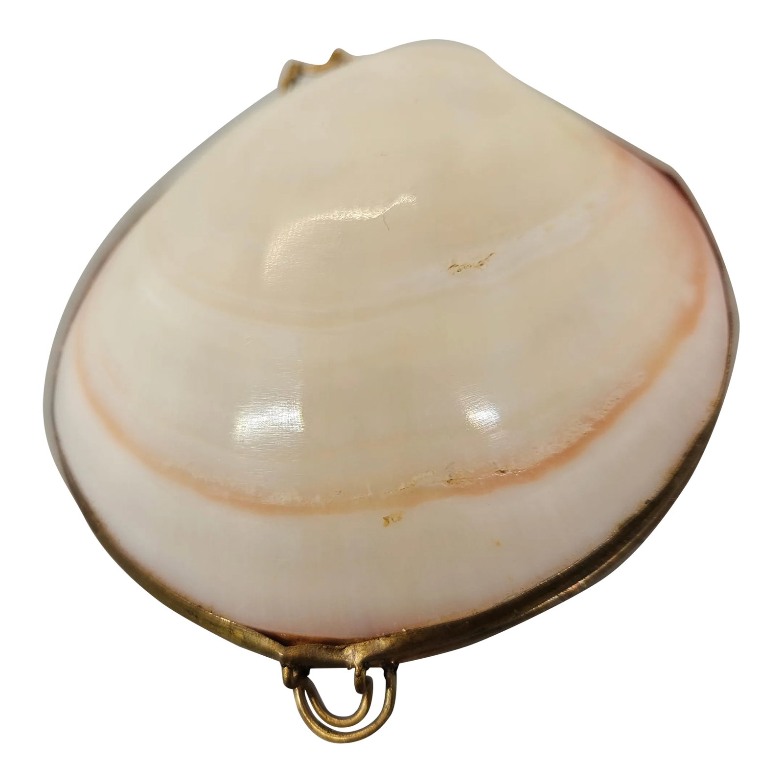 Vintage Pearlized Clam Shell Trinket Box (1 of 4)