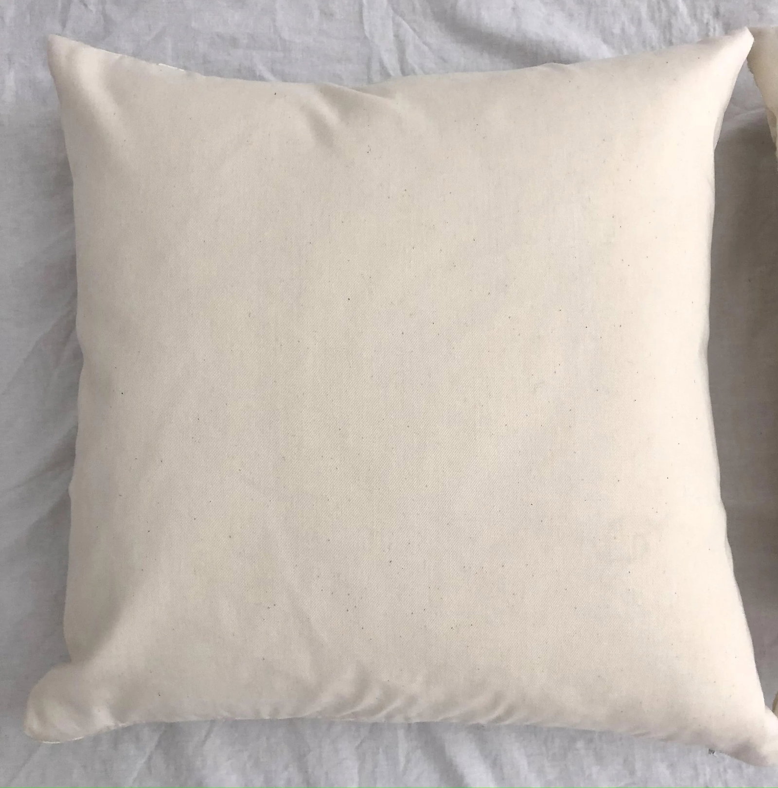Fortuny White Eggshell Printed on Ivory Silk Texture Ground Campanille - Set of 3 Pillows - 5
