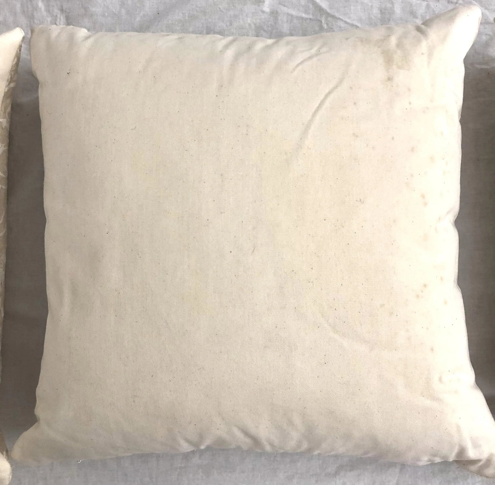 Fortuny White Eggshell Printed on Ivory Silk Texture Ground Campanille - Set of 3 Pillows - 6