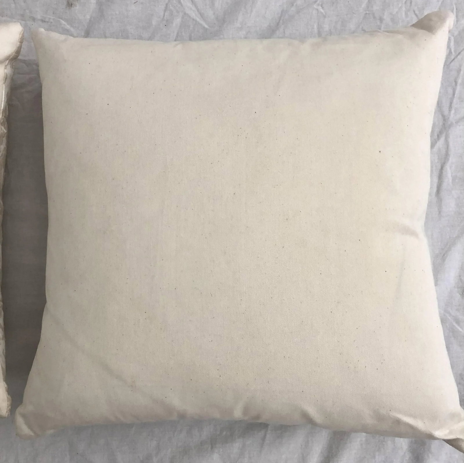 Fortuny White Eggshell Printed on Ivory Silk Texture Ground Campanille - Set of 3 Pillows - 7
