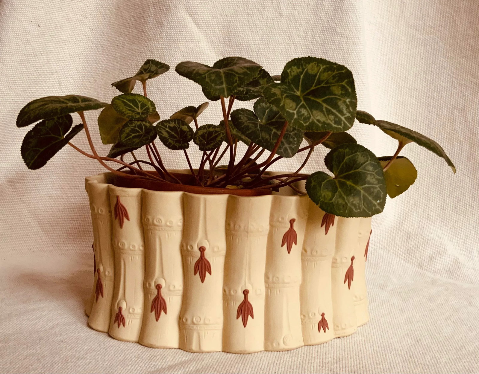 Early 20th Century Wedgwood Caneware Cache Pot With Primrose Terracotta - Large Form - 10