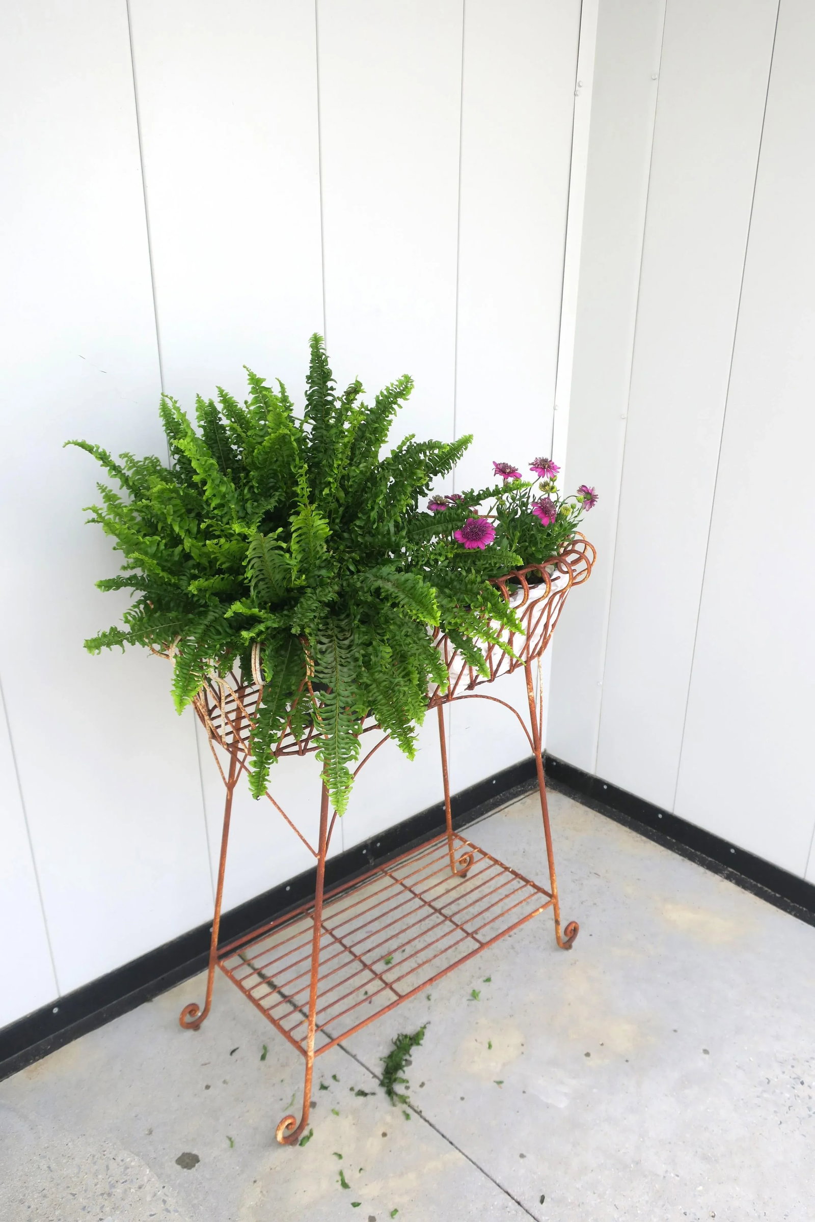 French Iron Plant Flowerpot Holder Stand Jardiniere - 4