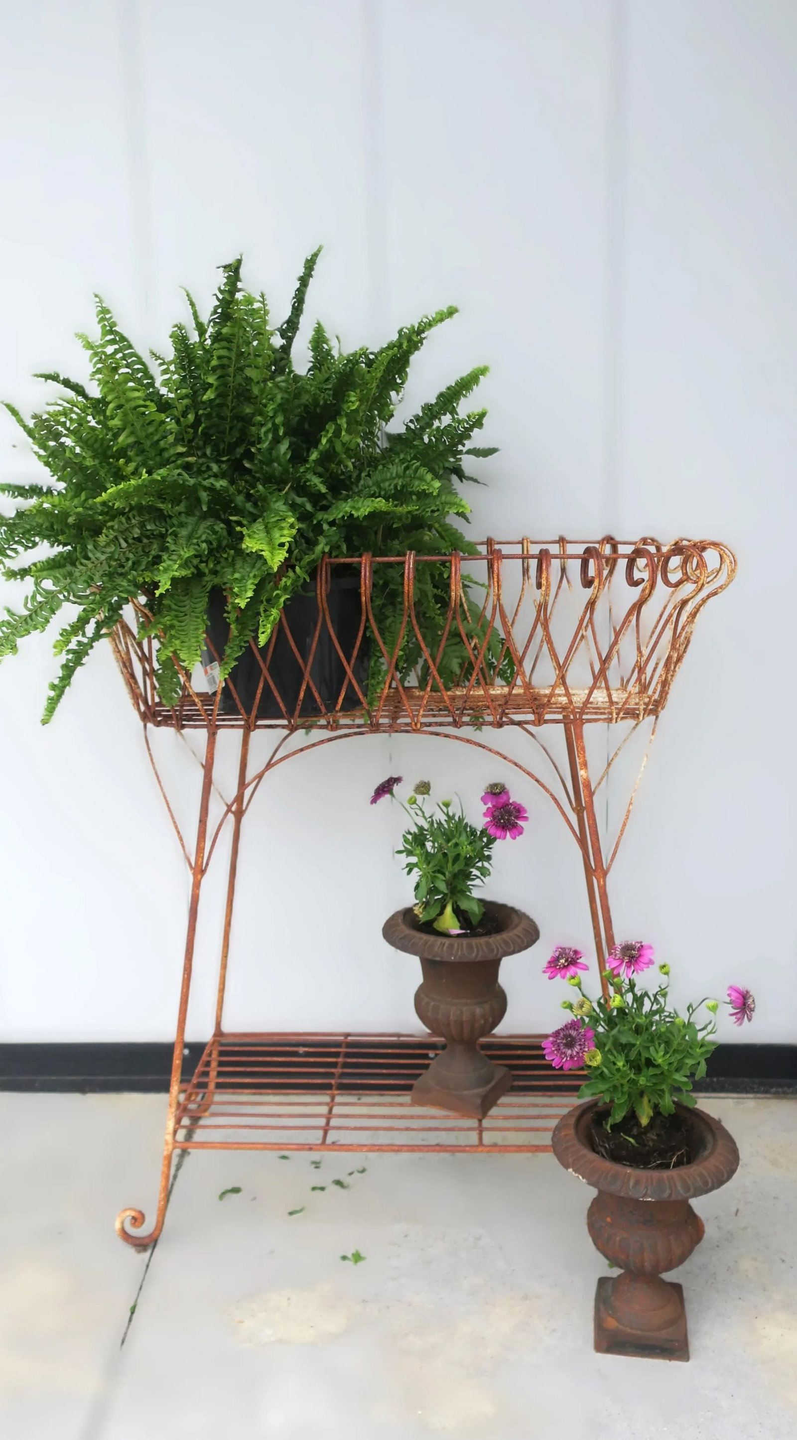 French Iron Plant Flowerpot Holder Stand Jardiniere - 5