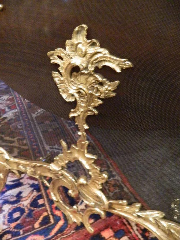 19th Century French Brass Fire Screen in the Rococo Style - 8