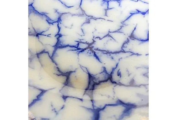Frosted Blue & White Porcelain Serving Bowl - 2
