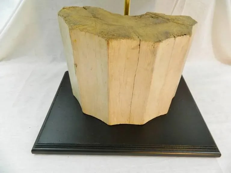 19th Century Corbels or Architectural Fragments Adapted as Lamps - a Pair - 6