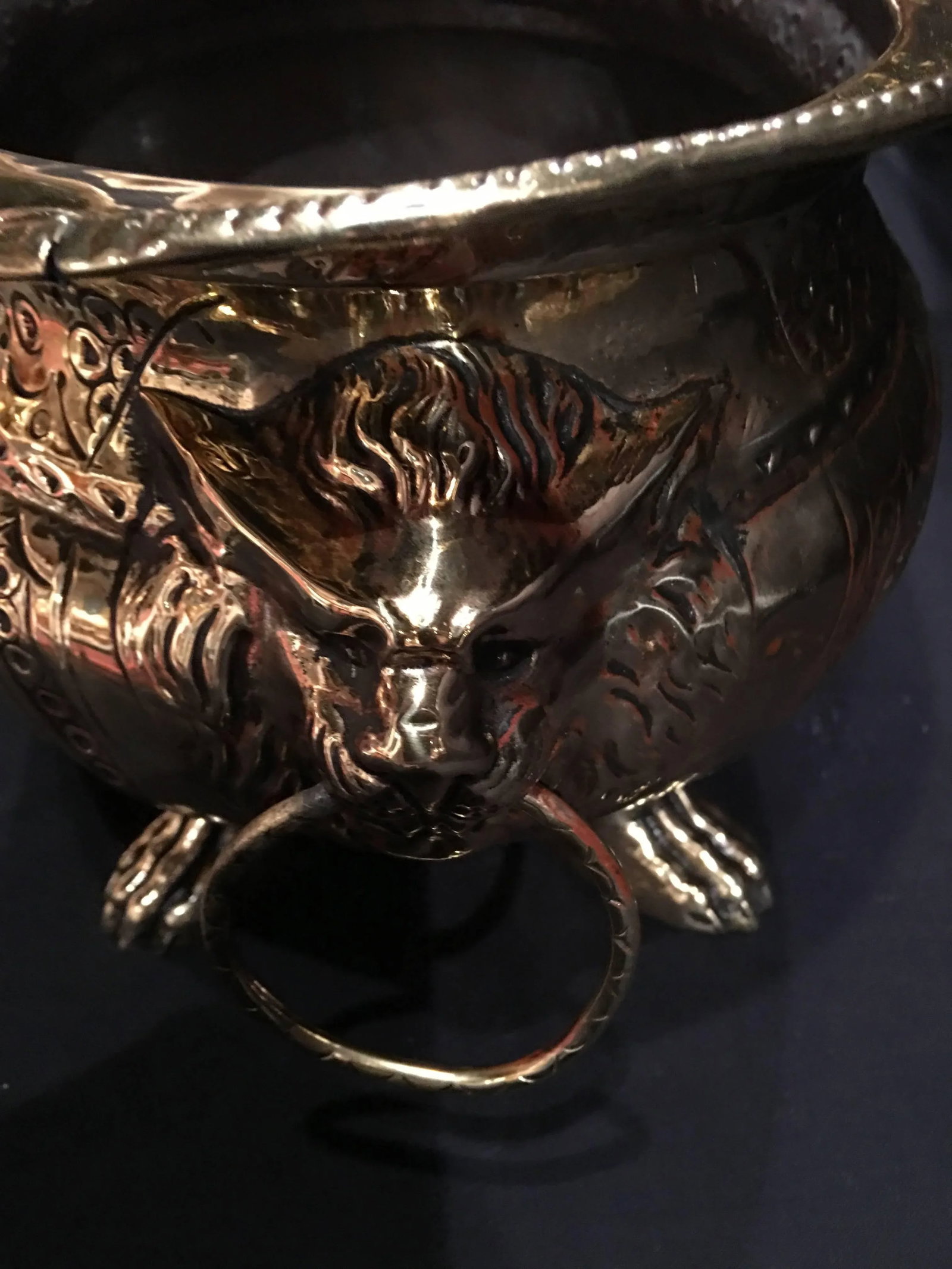 French Polished Brass Lion Head Ring Handle Jardiniere Claw Feet, 19th Century - 5