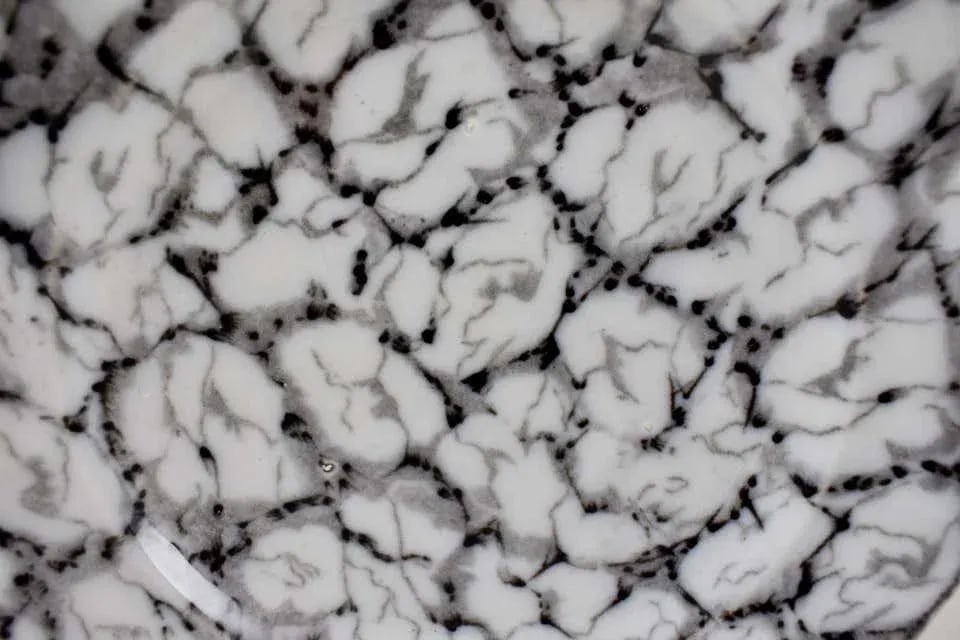 1830s Black and White Transferware Marble or Cracked Ice Ironstone Plates - Set of 4 - 6