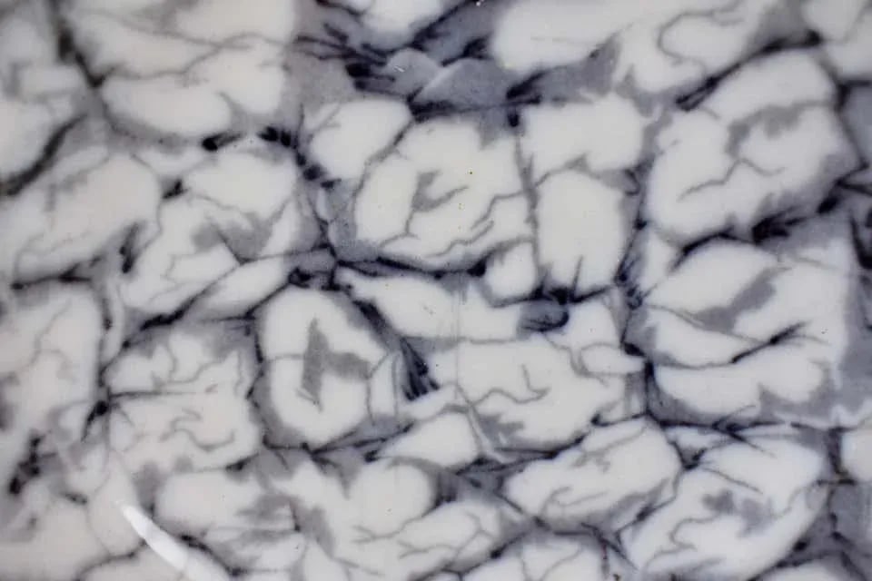 1830s Black and White Transferware Marble or Cracked Ice Ironstone Plates - Set of 4 - 9