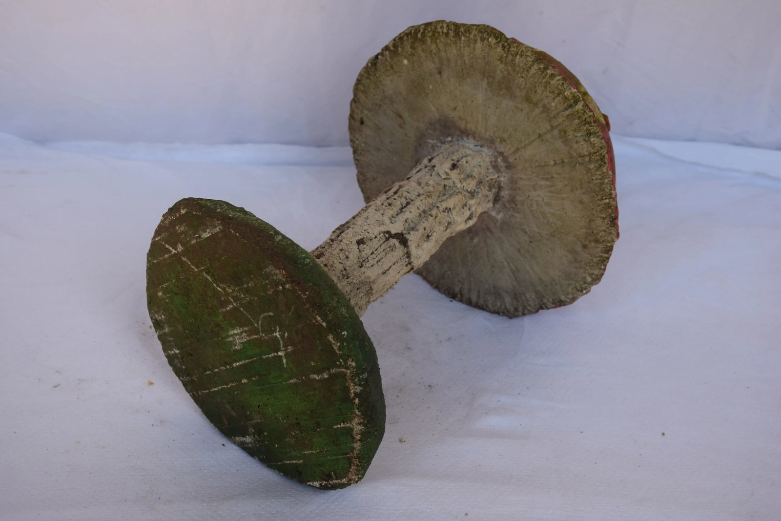 English Garden Mushroom - 4