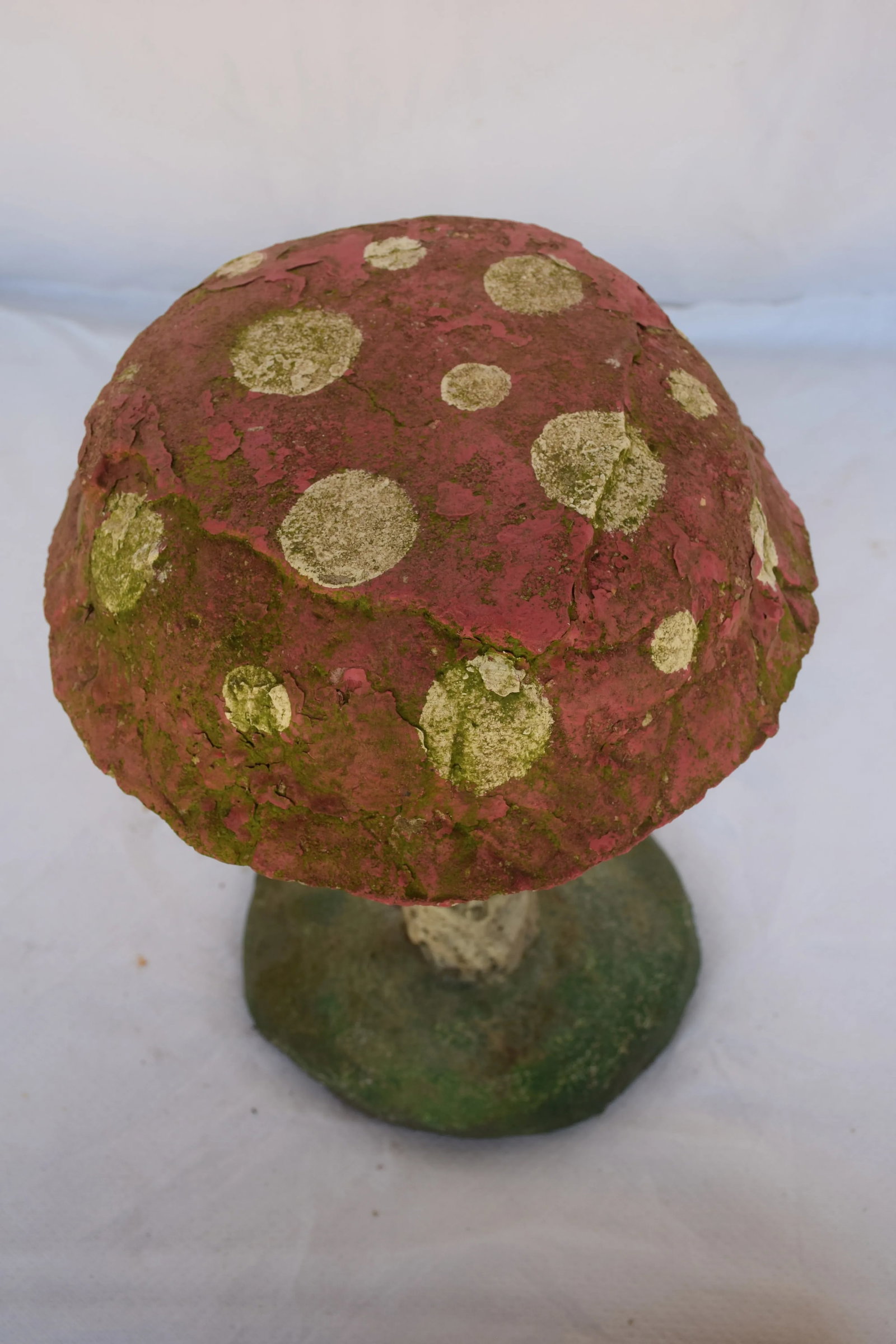 English Garden Mushroom - 5