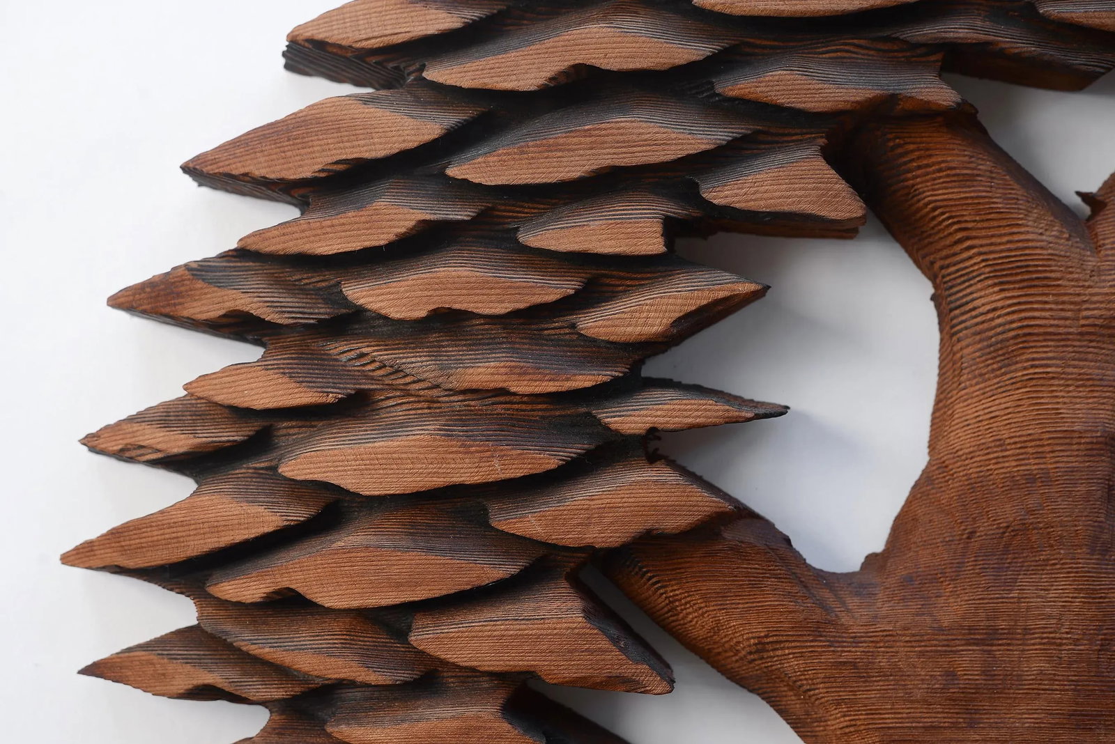 Vintage Hand Carved Cryptomeria Wall Tree Sculpture - 6