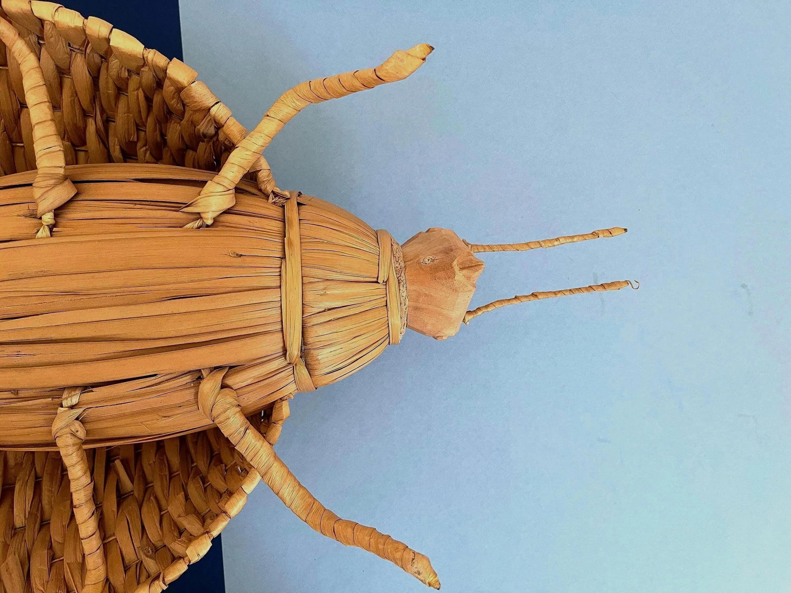 Giant 1970s Wicker Beetle - 18