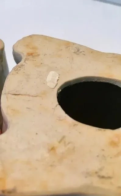 Mid 20th Century Chinese Tobacco Leaf Porcelain Cat - 7