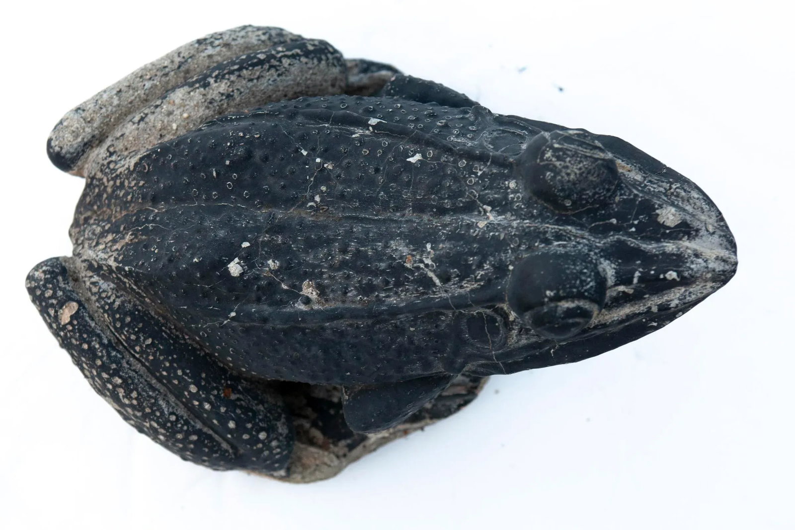 Vintage Cement Garden Frog With Aged Black Paint - 6