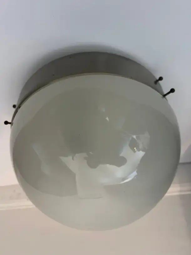 Sergio Mazza Artemis Clio Flush Ceiling Light 1960 Italian Mid-Century - 3