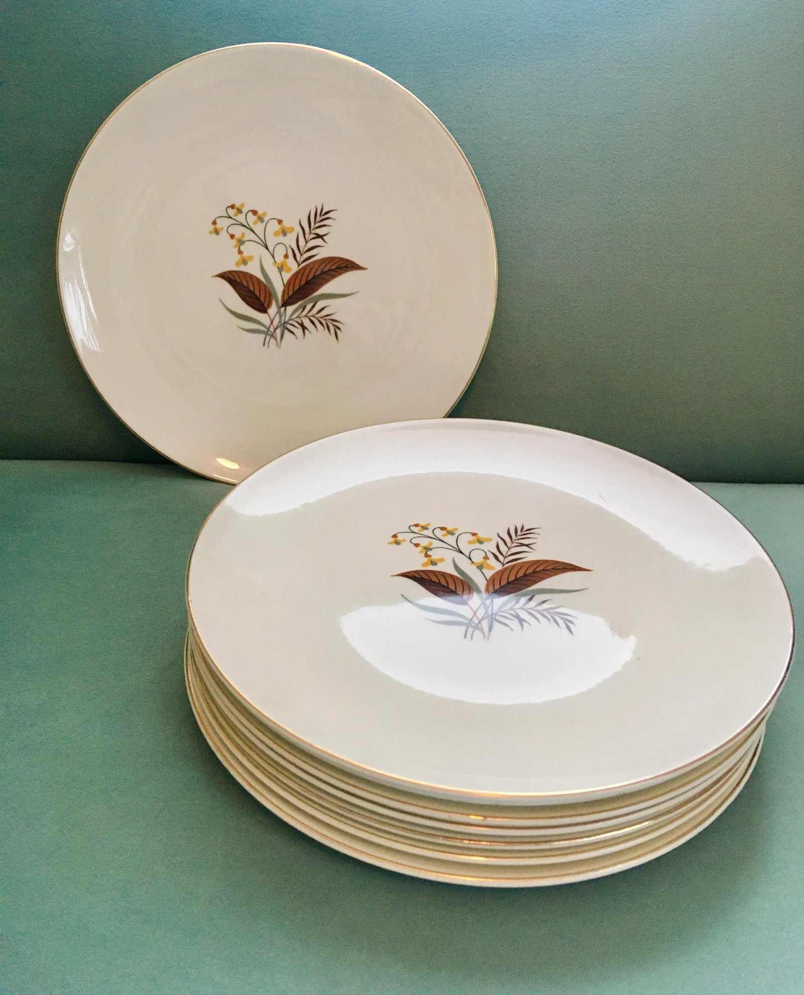 Mid 20th Century Harmony by Edwin Knowles Dinner Plates - Set of 8 - 2