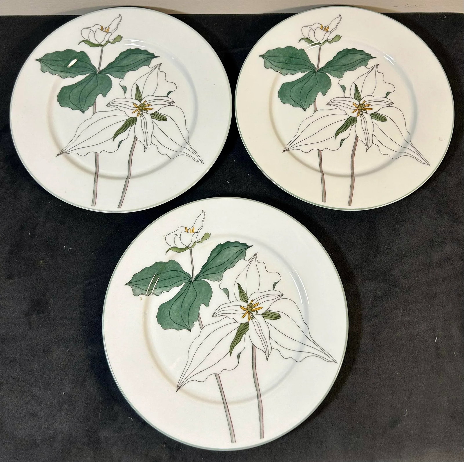 Set of 12 8" Salad Plates by Block Spal Portugal ~ Floral Watercolor by MaryLou Goertzen - 10