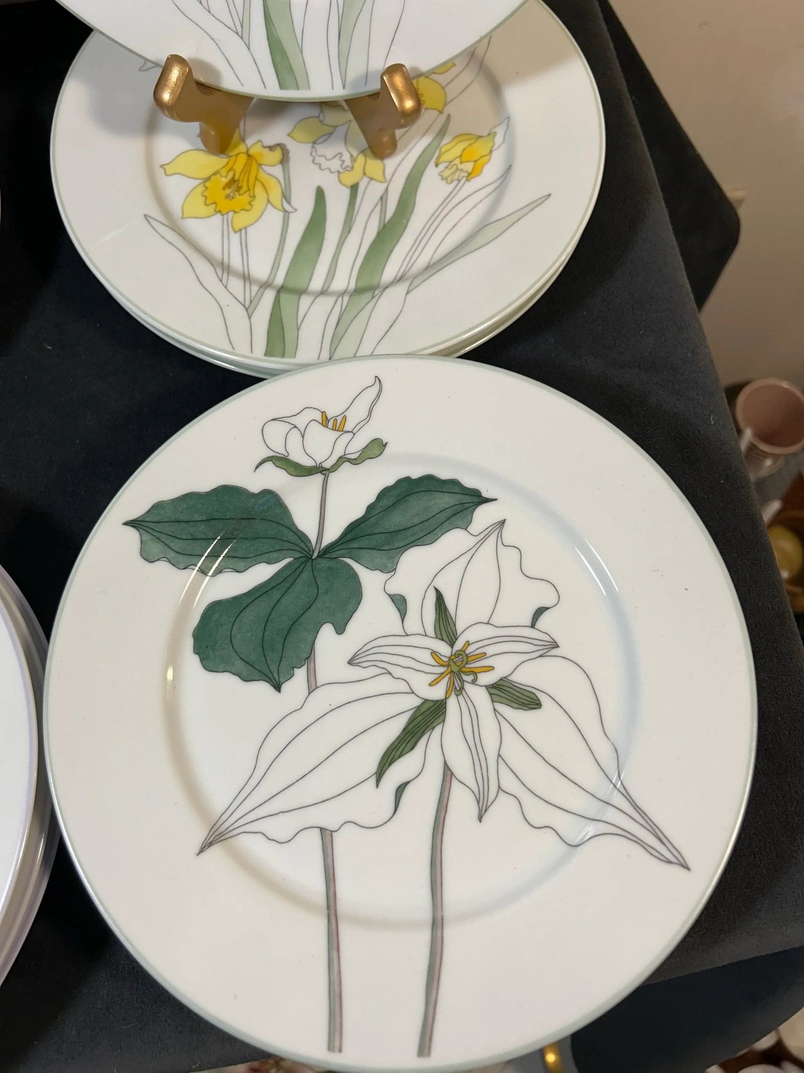 Set of 12 8" Salad Plates by Block Spal Portugal ~ Floral Watercolor by MaryLou Goertzen - 4
