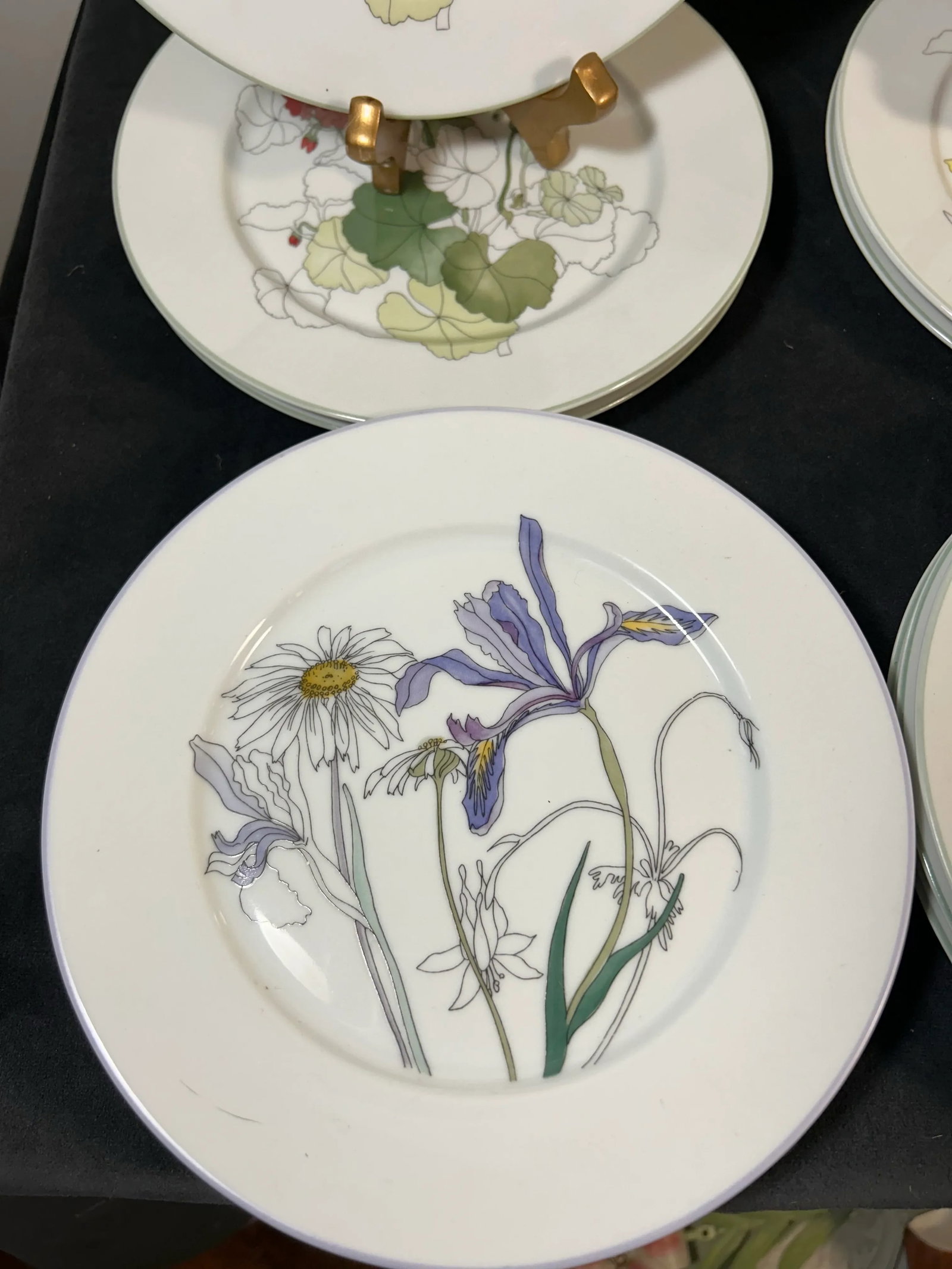 Set of 12 8" Salad Plates by Block Spal Portugal ~ Floral Watercolor by MaryLou Goertzen - 5
