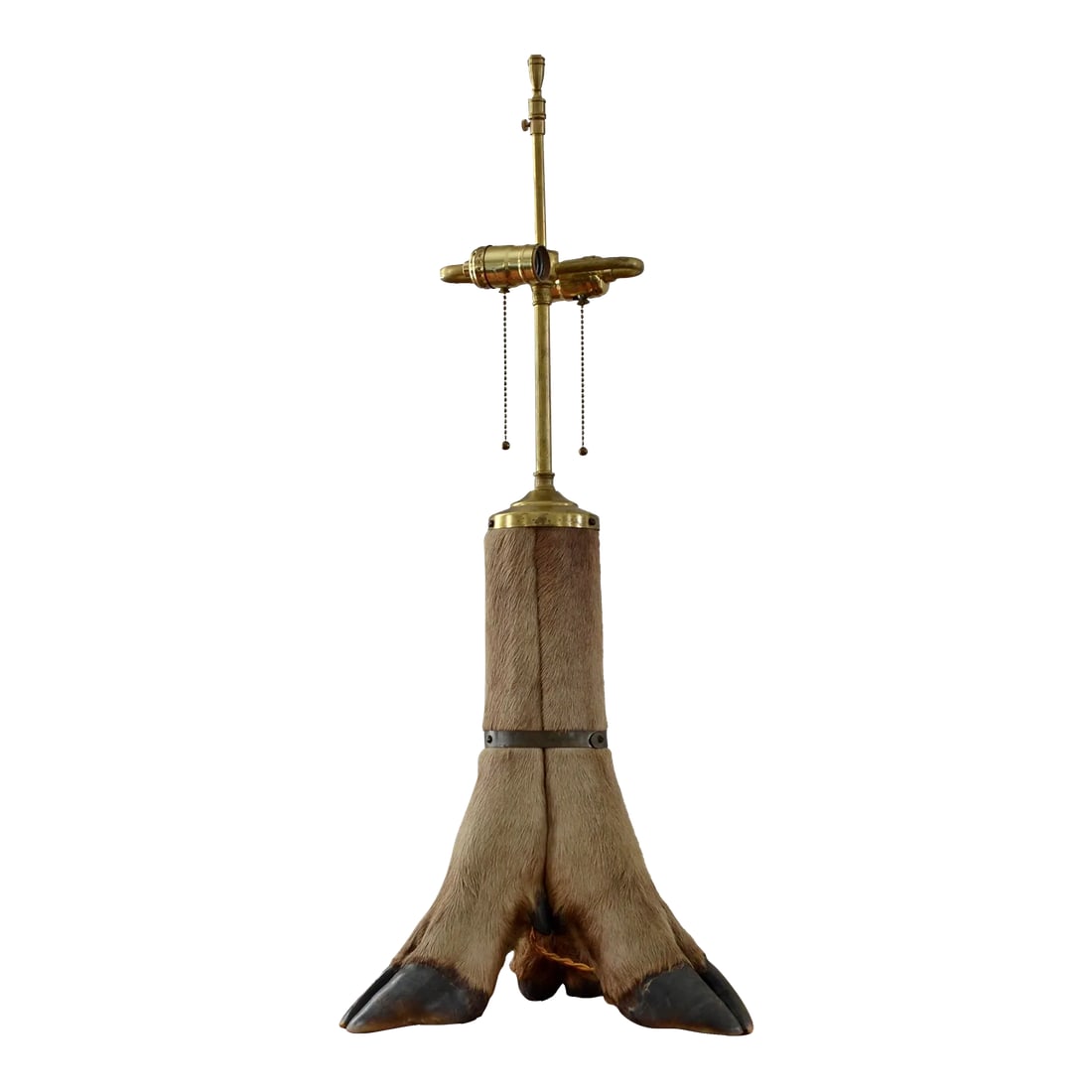 Mid Century Rustic Deer Hoof Table Lamp: Rustic mid century deer hoof table lamp consisting of 3 hoofs bound by brass strap. Rewired by professional lamp technician with gold rayon cord and double pull socket. 8"W x 8"W x 24"H Condition: